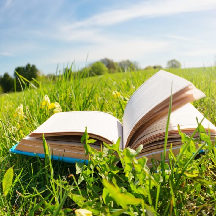 Open book laying in a field